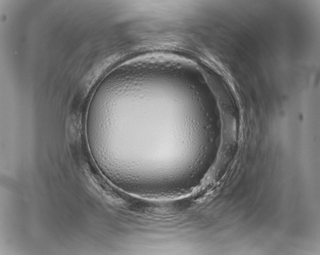 X0000054370107200507291057