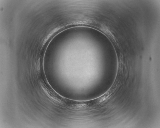 X0000054370108200507291057