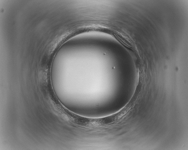 X0000054370111200507291057