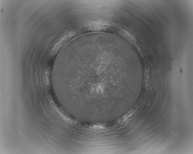 X0000054370114200507291057