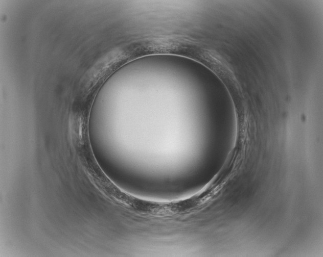 X0000054370115200507291057