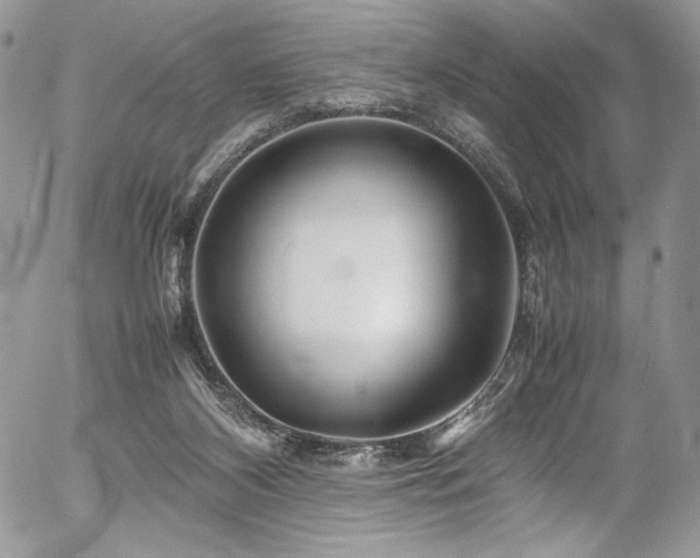 X0000054370116200507291057