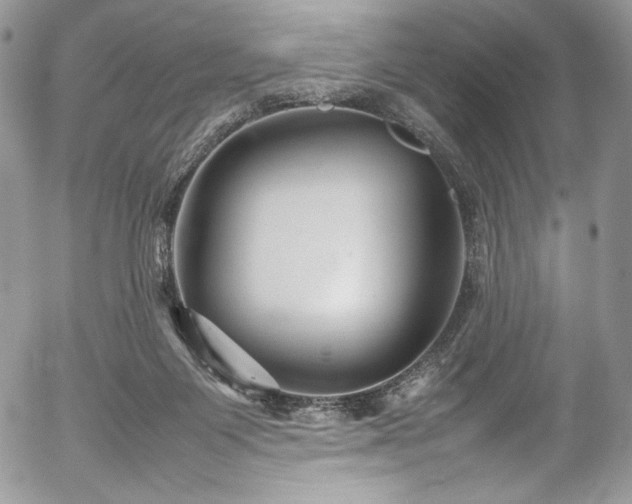 X0000054370119200507291057