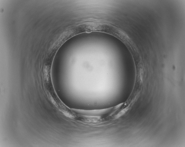 X0000054370121200507291057