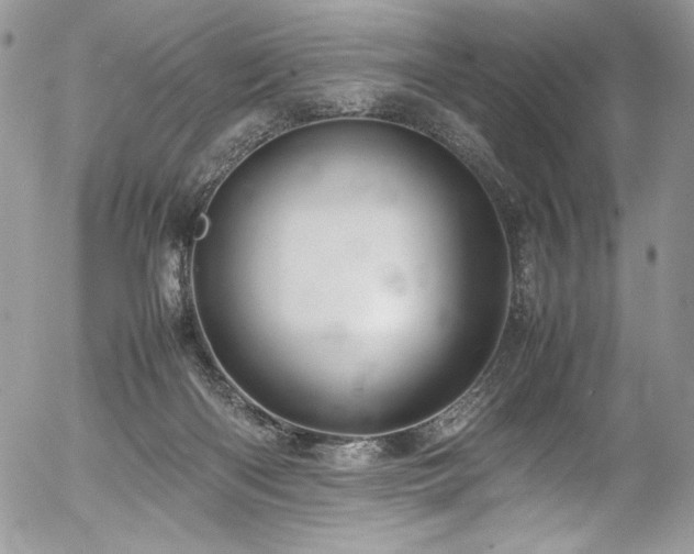 X0000054370122200507291057