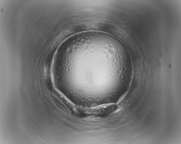 X0000054370123200507291057