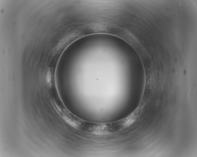 X0000054370124200507291056