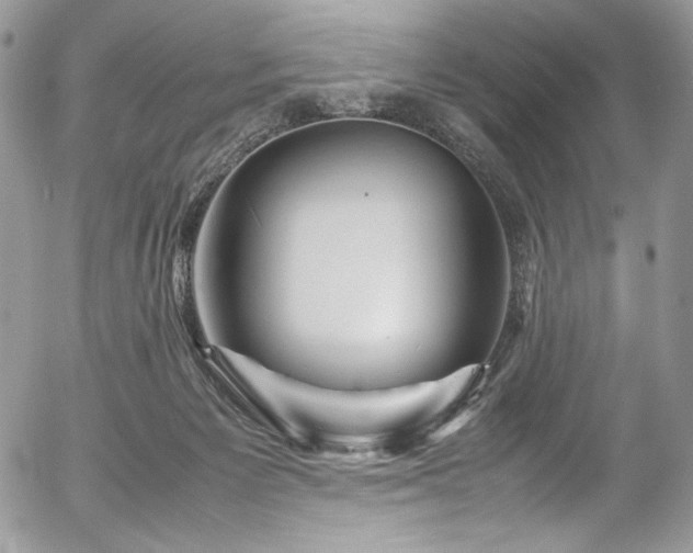 X0000054370125200507291056