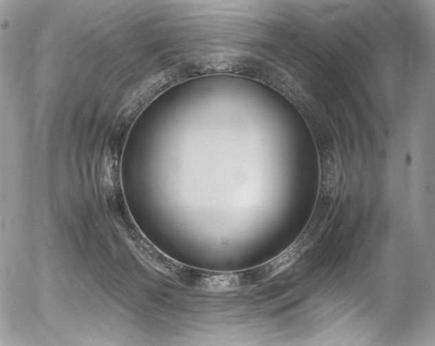 X0000054370126200507291056