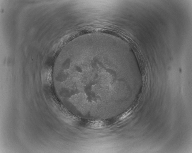 X0000054370127200507291056