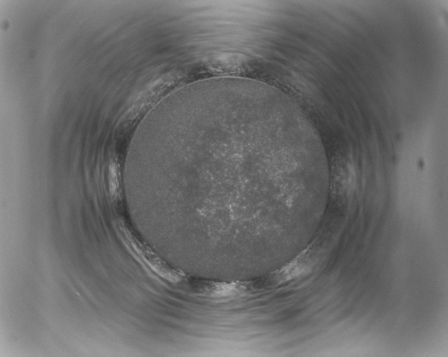 X0000054370130200507291056