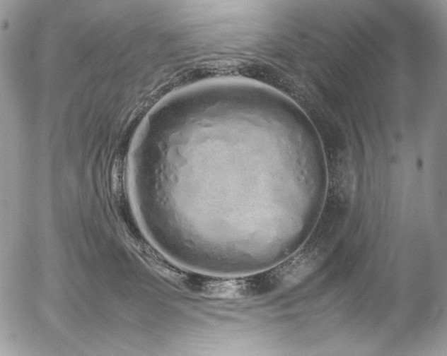 X0000054370131200507291056