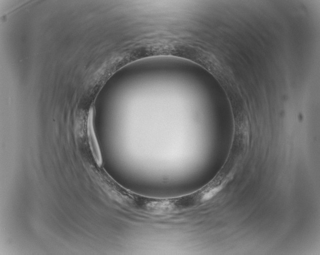 X0000054370133200507291056