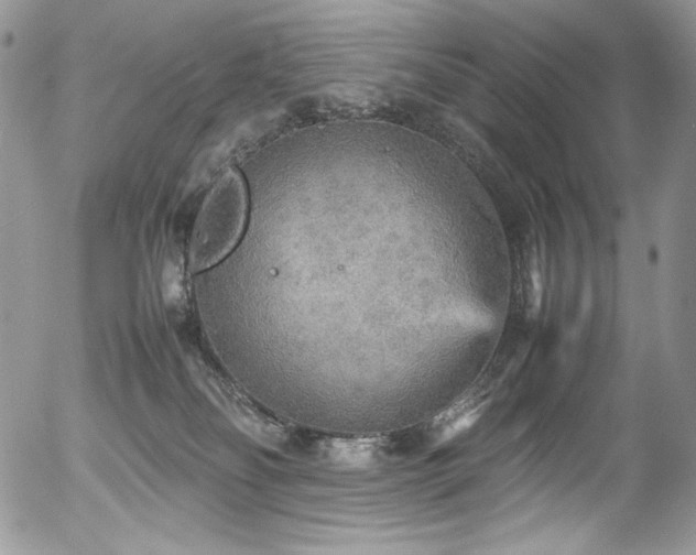 X0000054370134200507291056