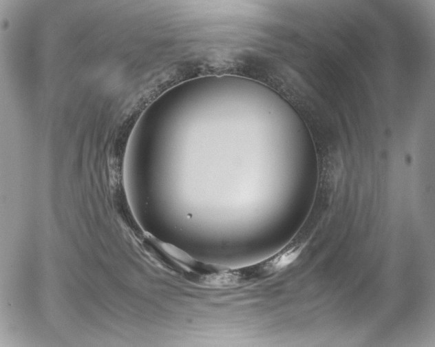 X0000054370135200507291056