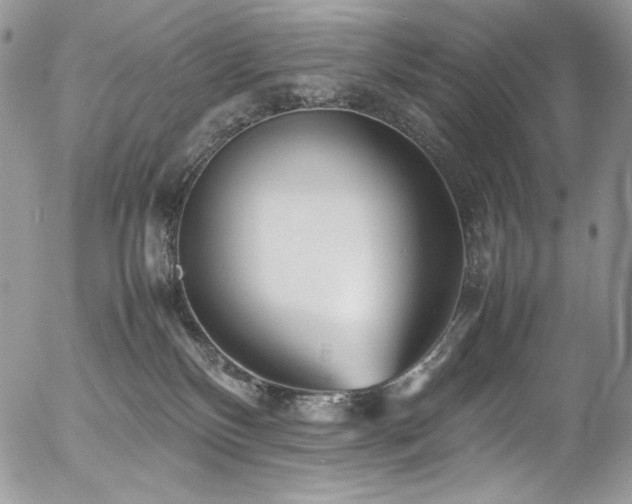 X0000054370136200507291056