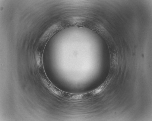 X0000054370138200507291056