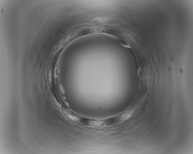 X0000054370139200507291056