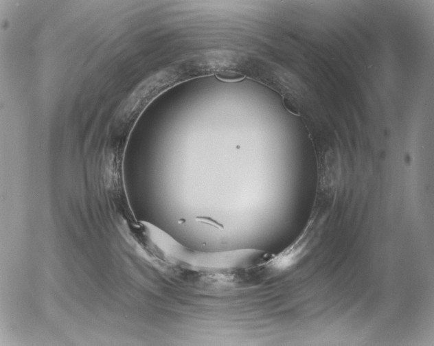 X0000054370140200507291056