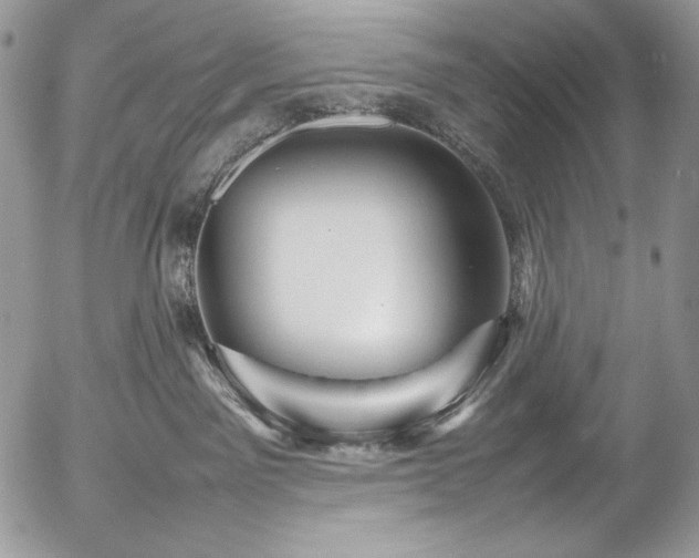 X0000054370141200507291056