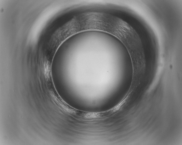 X0000054370142200507291056