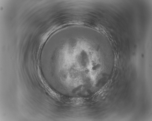 X0000054370145200507291055