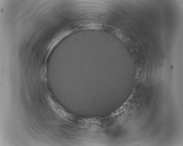 X0000054370146200507291055