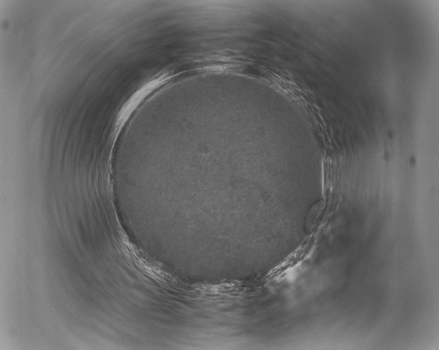 X0000054370147200507291055