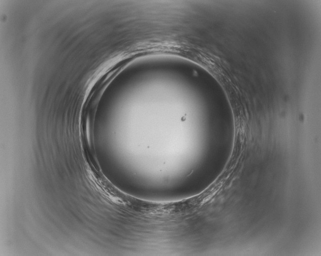 X0000054370148200507291055