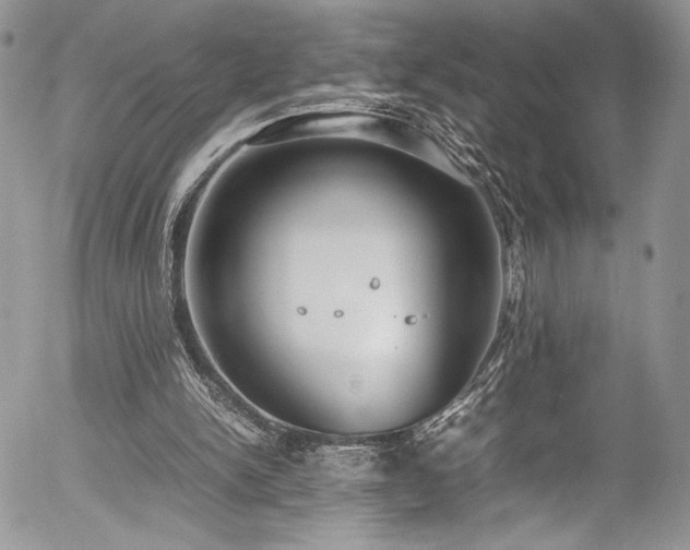 X0000054370150200507291055