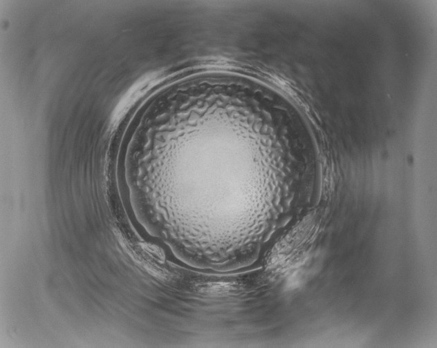 X0000054370151200507291055