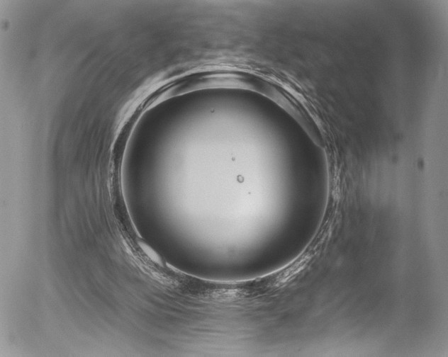 X0000054370152200507291055