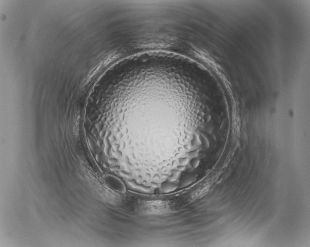 X0000054370153200507291056