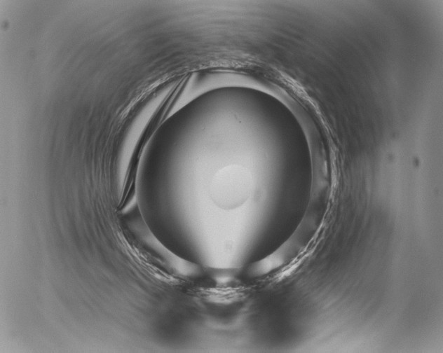 X0000054370154200507291056