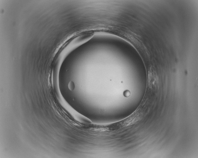 X0000054370156200507291056