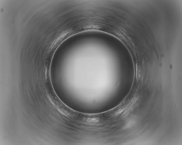 X0000054370157200507291056