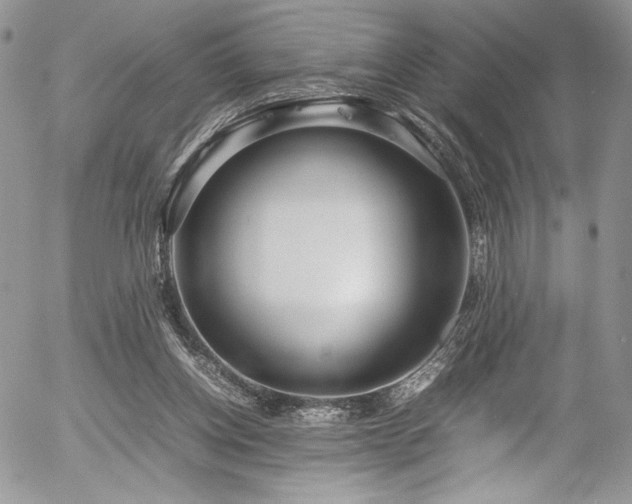 X0000054370158200507291056