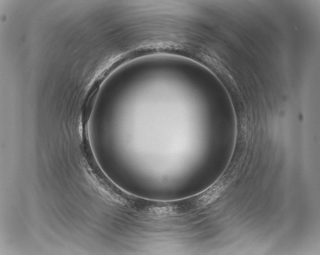 X0000054370160200507291056