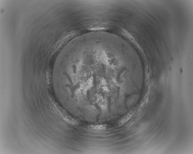 X0000054370161200507291056