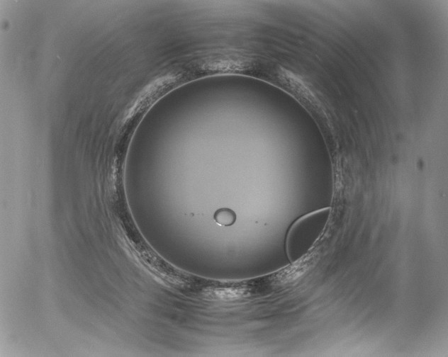 X0000054370163200507291056