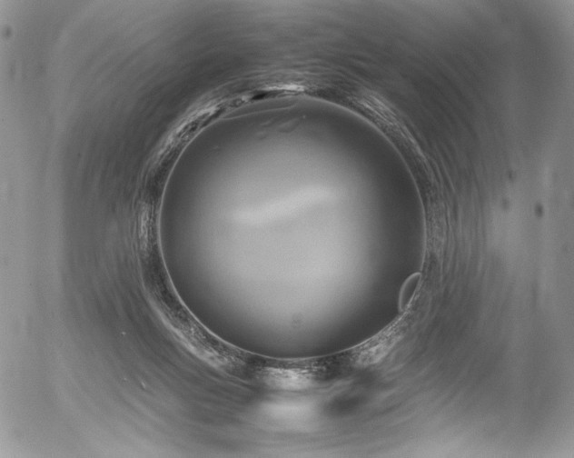 X0000054370167200507291056