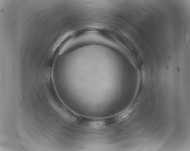 X0000054370168200507291056