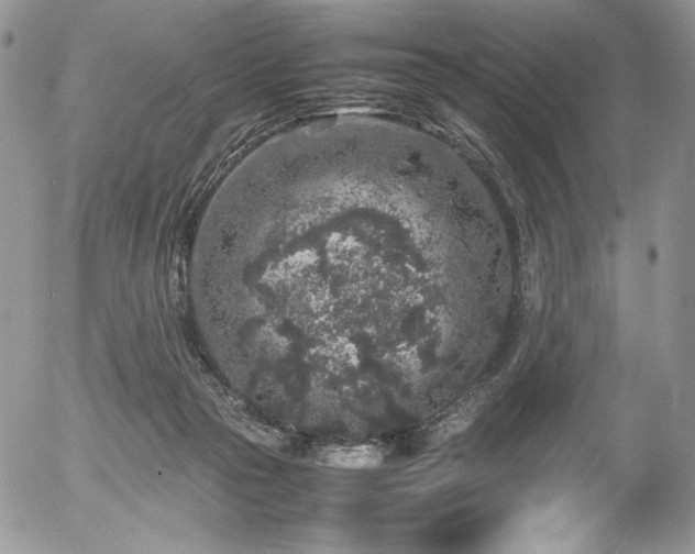 X0000054370169200507291056