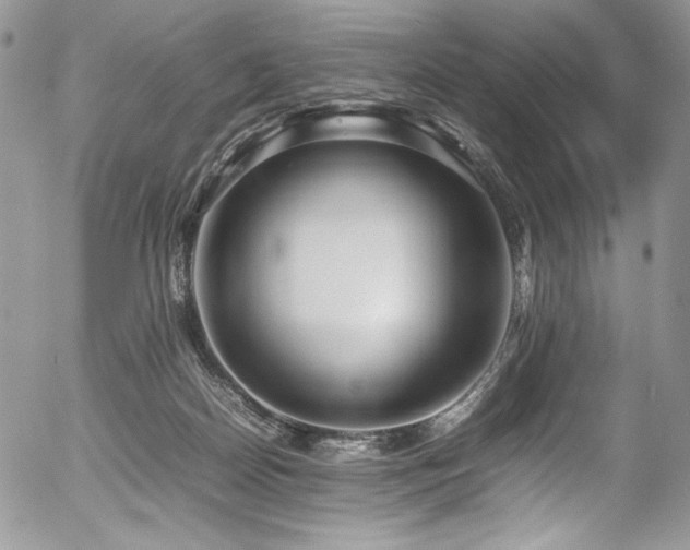 X0000054370170200507291056