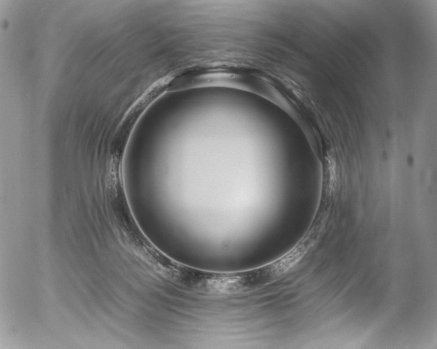 X0000054370172200507291056