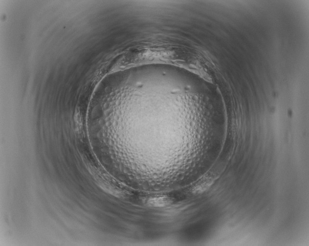 X0000054370173200507291056