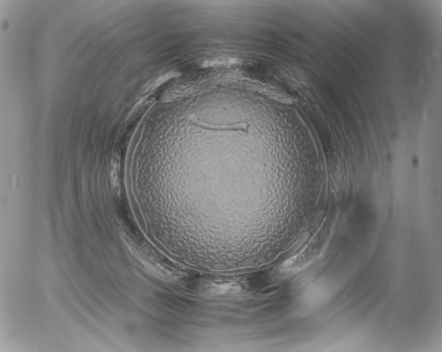 X0000054370175200507291056