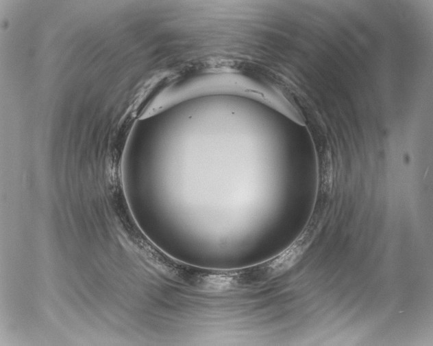 X0000054370176200507291056