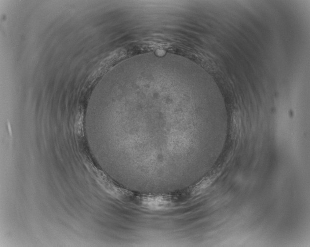 X0000054370177200507291056