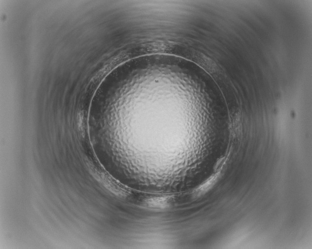 X0000054370178200507291056